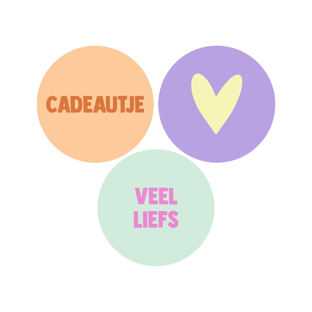 Cadeaustickers | Cadeautje & Veel Liefs 6 stuks